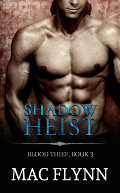 Book Cover: Shadow Heist