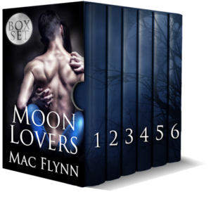 Book Cover: Moon Lovers Box Set