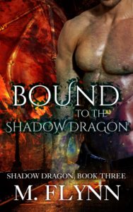 Book Cover: Bound to the Shadow Dragon