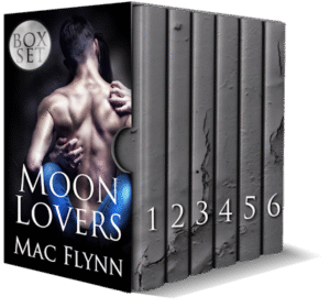 Book Cover: Moon Lovers Box Set