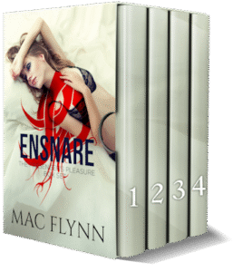 Book Cover: Ensnare: The Passenger's Pleasure Box Set