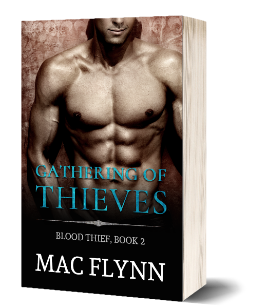 Book Cover: Gathering of Thieves