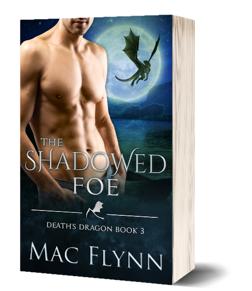 Book Cover: The Shadowed Foe