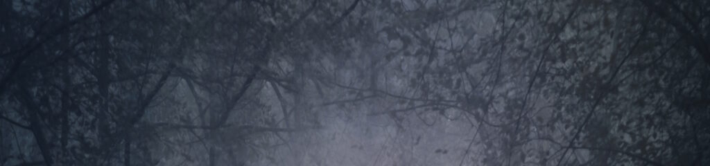 Falling For A Wolf