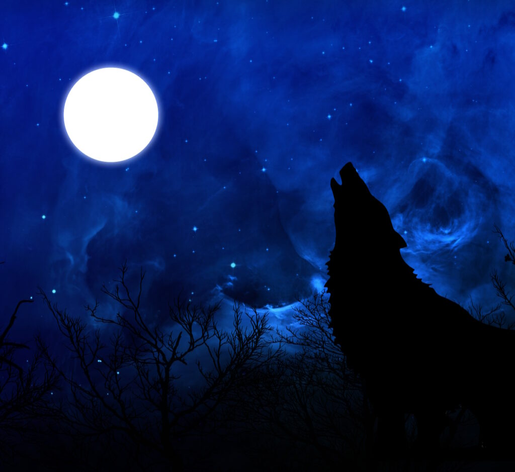 Marked By the Wolf