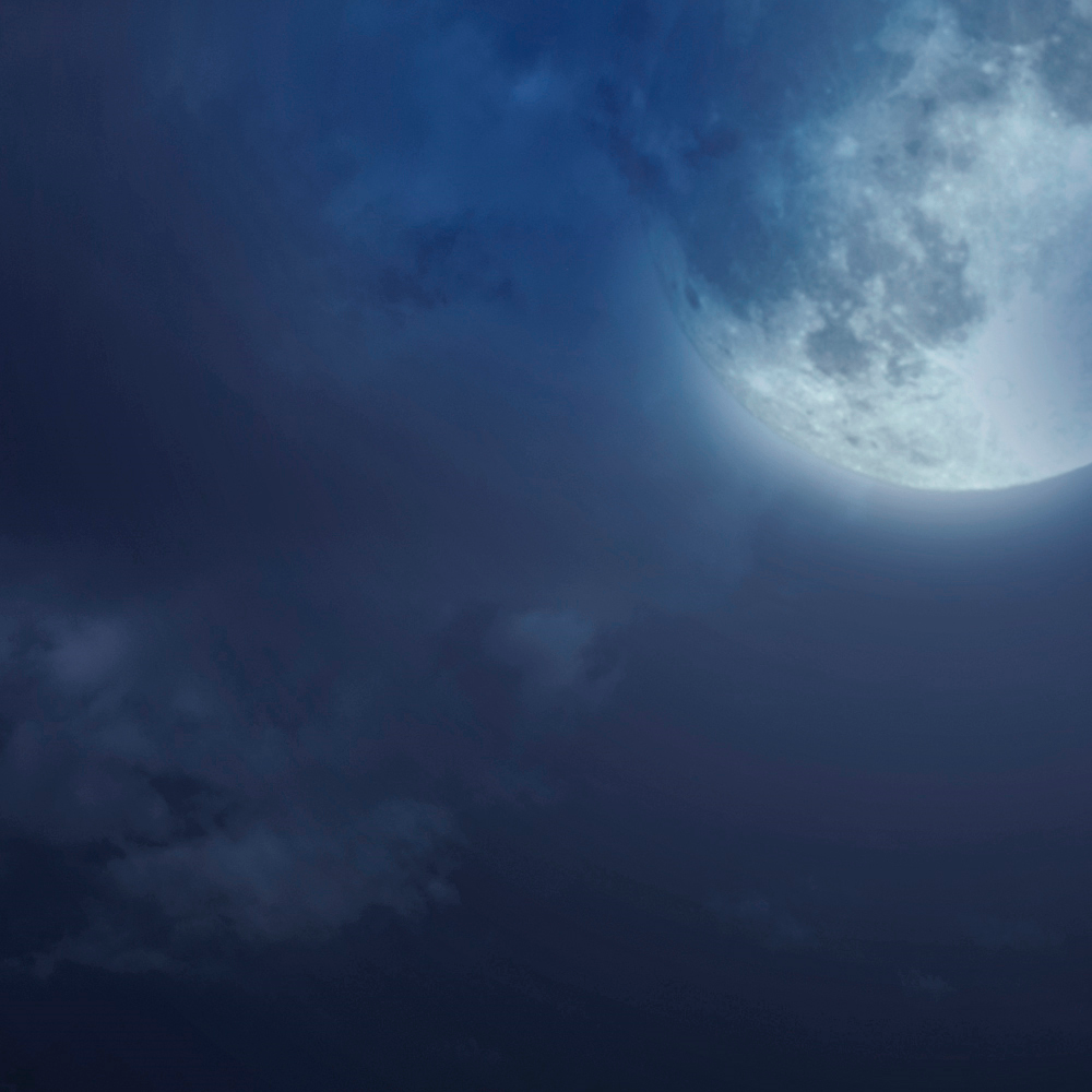 Moon Lovers