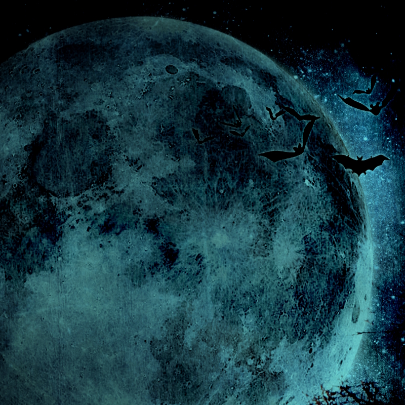 Luna Proxy