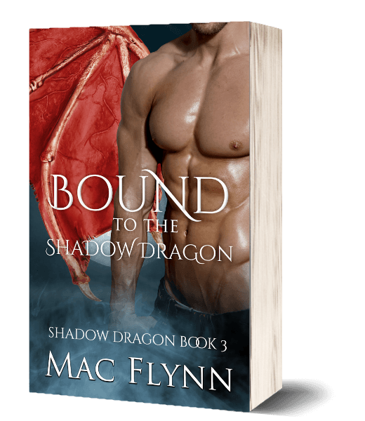 Book Cover: Bound to the Shadow Dragon
