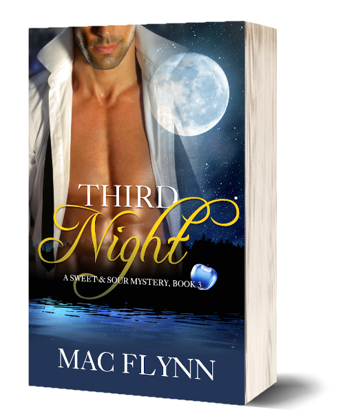 Book Cover: Third Night