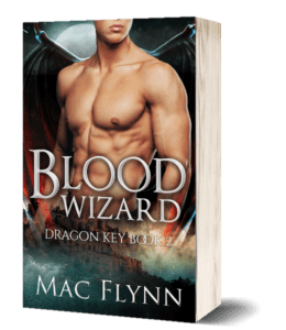 Book Cover: Blood Wizard