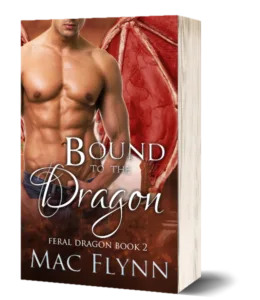 Book Cover: Bound to the Dragon