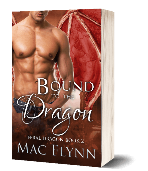 Book Cover: Bound to the Dragon